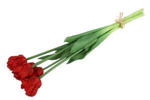 parkiet kunst tulpen rood